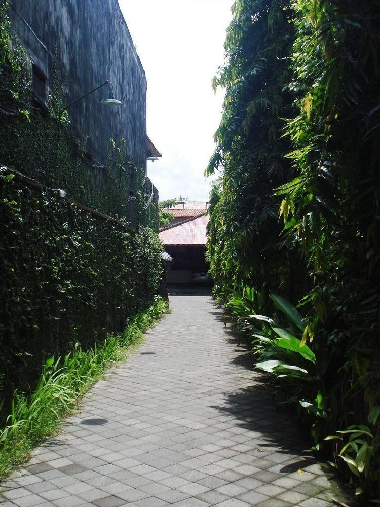 Legian Mas Beach Guest house Kuta (Bali)
